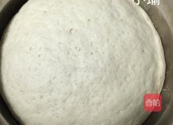 白馒头（小麦馒头）的做法图解3