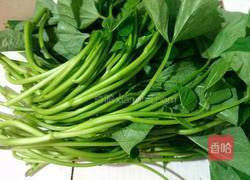 蒜香红薯叶的做法图解1