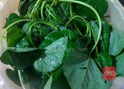 蒜香红薯叶的做法图解2