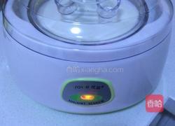 酸奶的做法图解5