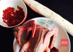 山药炖鸽子汤的做法图解1