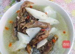 山药炖鸽子汤的做法图解8