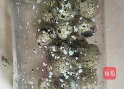 糖醋虎皮鹌鹑蛋的做法图解6
