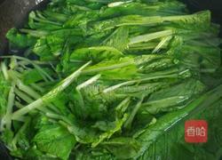 小鱼丸白菜汤的做法图解4