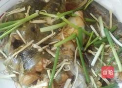 清蒸鲶鱼的做法图解4