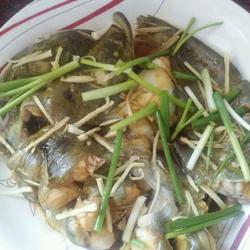清蒸鲶鱼