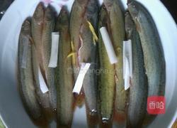 泥鳅豆腐汤的做法图解1