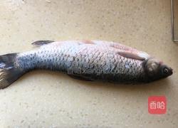 红烧瓦块鱼的做法图解1