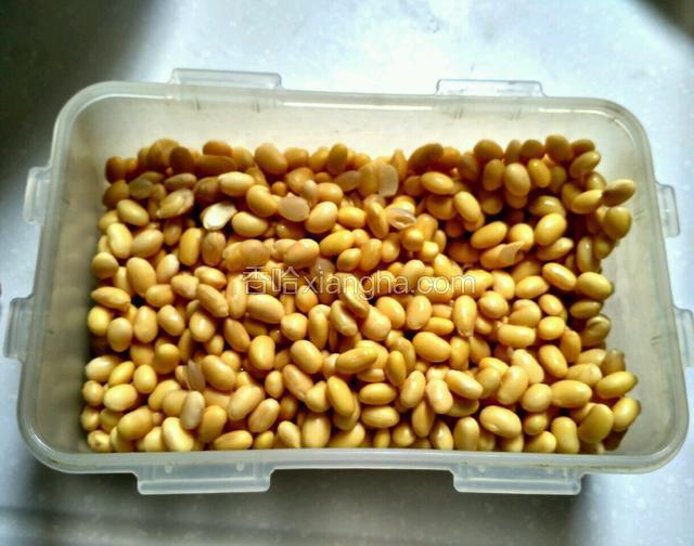黄豆洗一下，然后放一个盆里面或者饭盒里浸泡24小时。