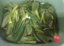 热拌小青菜的做法图解1