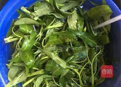 炒空心菜的做法图解1