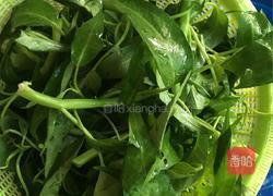 炒空心菜的做法图解3