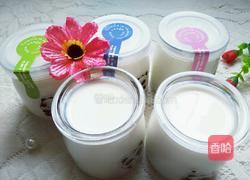 原味自制酸奶的做法图解8