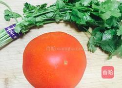 西红柿炖牛腩的做法图解4