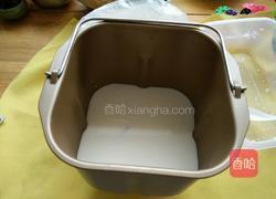 自制酸奶（酸奶引子）的做法图解4