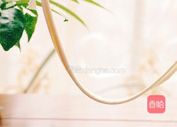 正宗新疆大盘鸡+裤带面的做法图解20