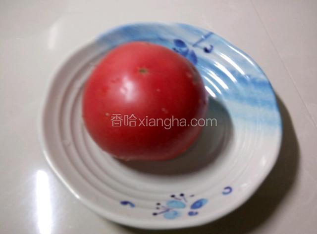 西红柿一个，