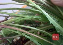 蒲公英陷菜饼子的做法图解1