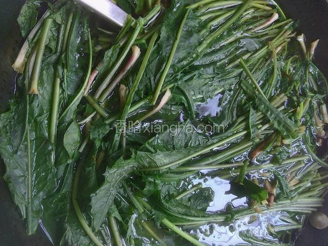 去根部，用热水烫5至10分钟。再用凉水浸泡20分钟。