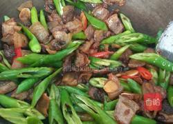 尖椒回锅肉的做法图解8