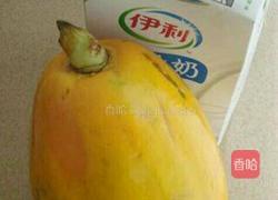 木瓜布丁的做法图解1