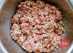 牛肉萝卜馅饺子的做法图解4