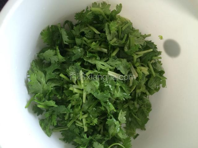 先把香菜切小段