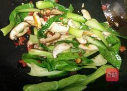香菇青菜饭的做法图解6