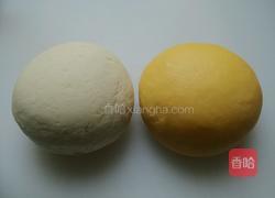 奶香向日葵馒头的做法图解3