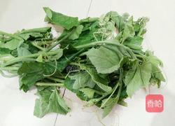 清炒南瓜藤的做法图解1