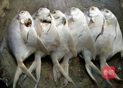 家常烧小鲳鱼的做法图解2