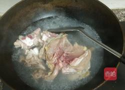 龙骨炖鸽子的做法图解2