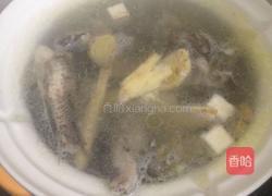 黄芪沙参白茯苓芡实薏米鱼汤的做法图解4