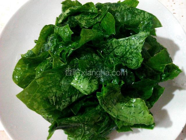 豆角叶清洗干净、用手搓一搓（能搓去苦涩味）、再用水清洗、沥干水份