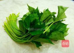 白灼红薯叶的做法图解1