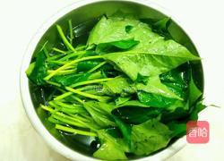 白灼红薯叶的做法图解3