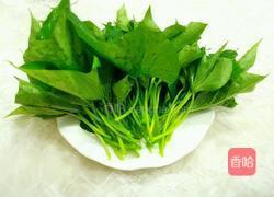 白灼红薯叶的做法图解4