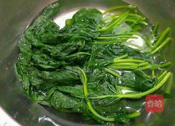 白灼红薯叶的做法图解7