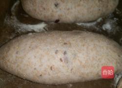 蔓越莓全麦欧包的做法图解5