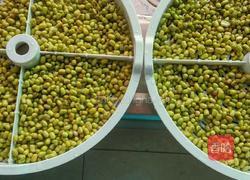 自发绿豆芽炒韭苔的做法图解1