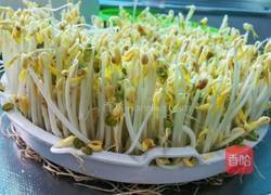 自发绿豆芽炒韭苔的做法图解2