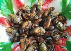 煎知了猴的做法图解6