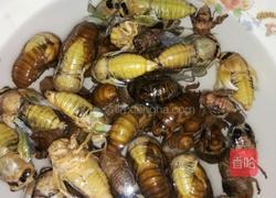 煎知了猴的做法图解2