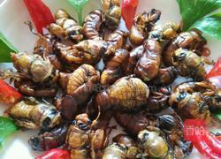 煎知了猴的做法图解8