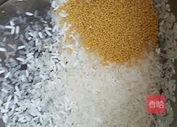 红糖紫薯三米粥的做法图解1