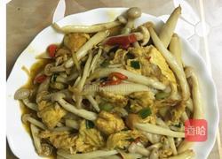 海鲜菇炒鸡蛋的做法图解4