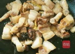 干烧红烧肉的做法图解5