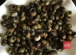 酱香田螺的做法图解3