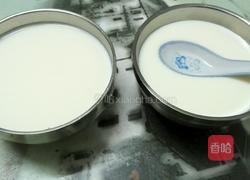 超简单的姜汁撞奶的做法图解5