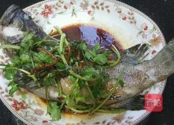 蒸龍趸鱼的做法图解5
